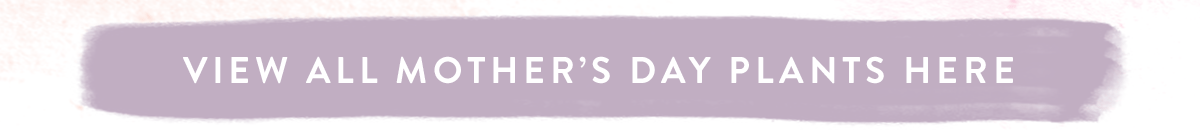 View all Mother's Day Plants here