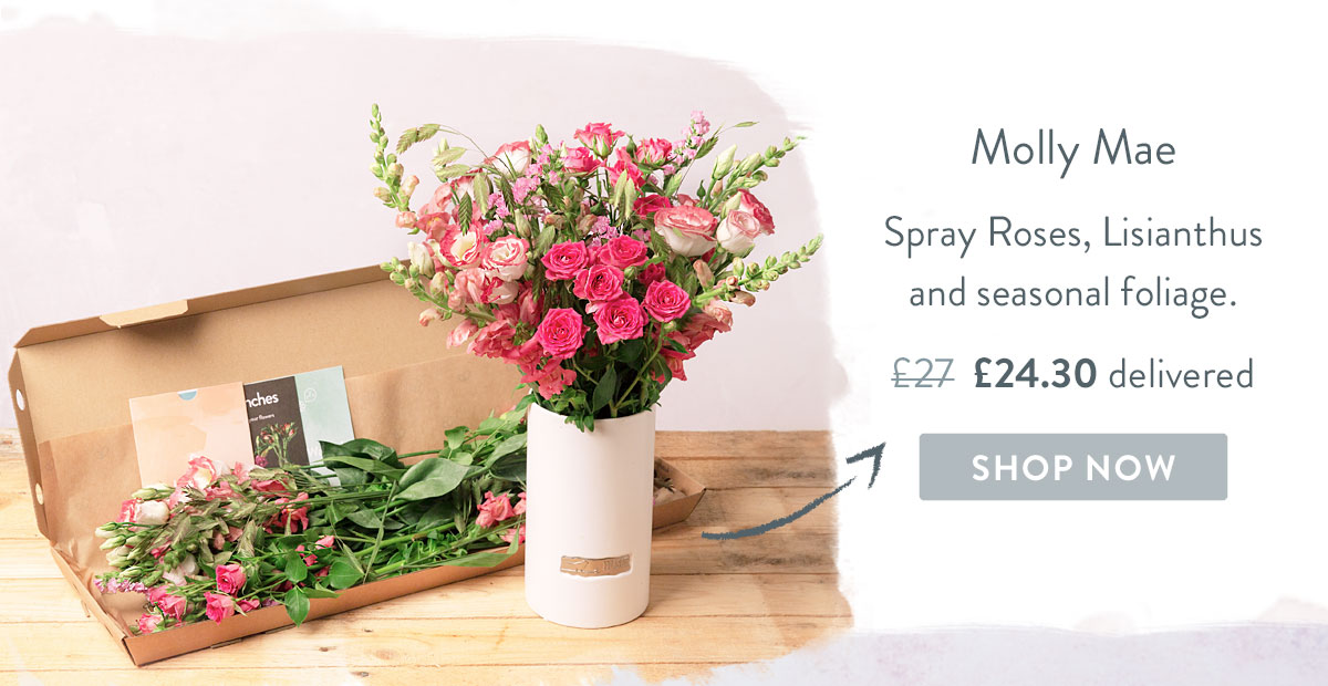 Molly Mae - Only &pound;24.30 with code
