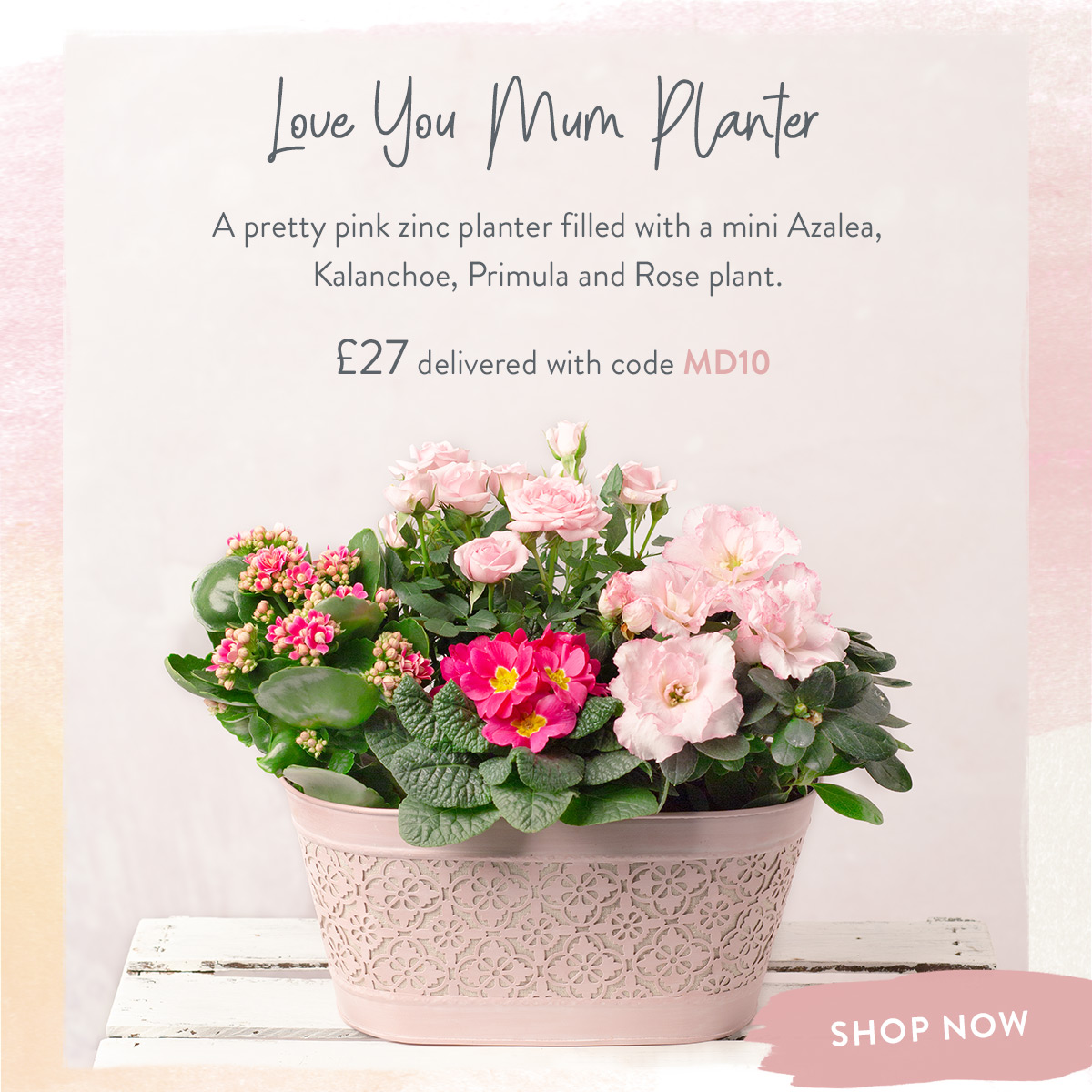 Love You Mum Planter- only &pound;27