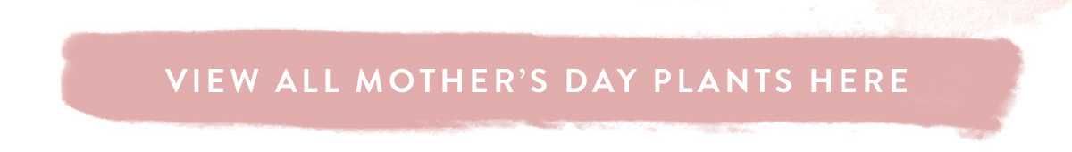 View all Mother's Day Plants