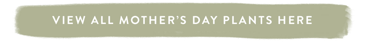 View all Mother's Day Plants