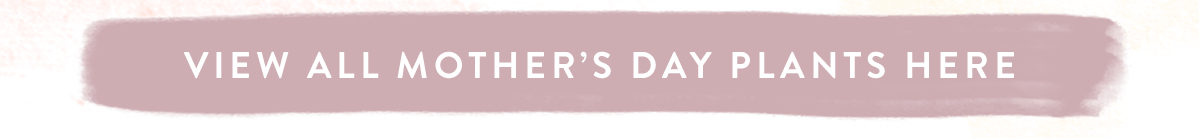 View all Mother's Day Plants here