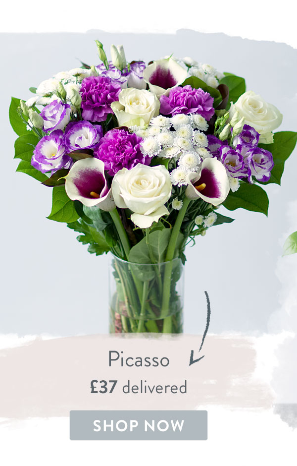 Picasso - Only &pound;37 delivered