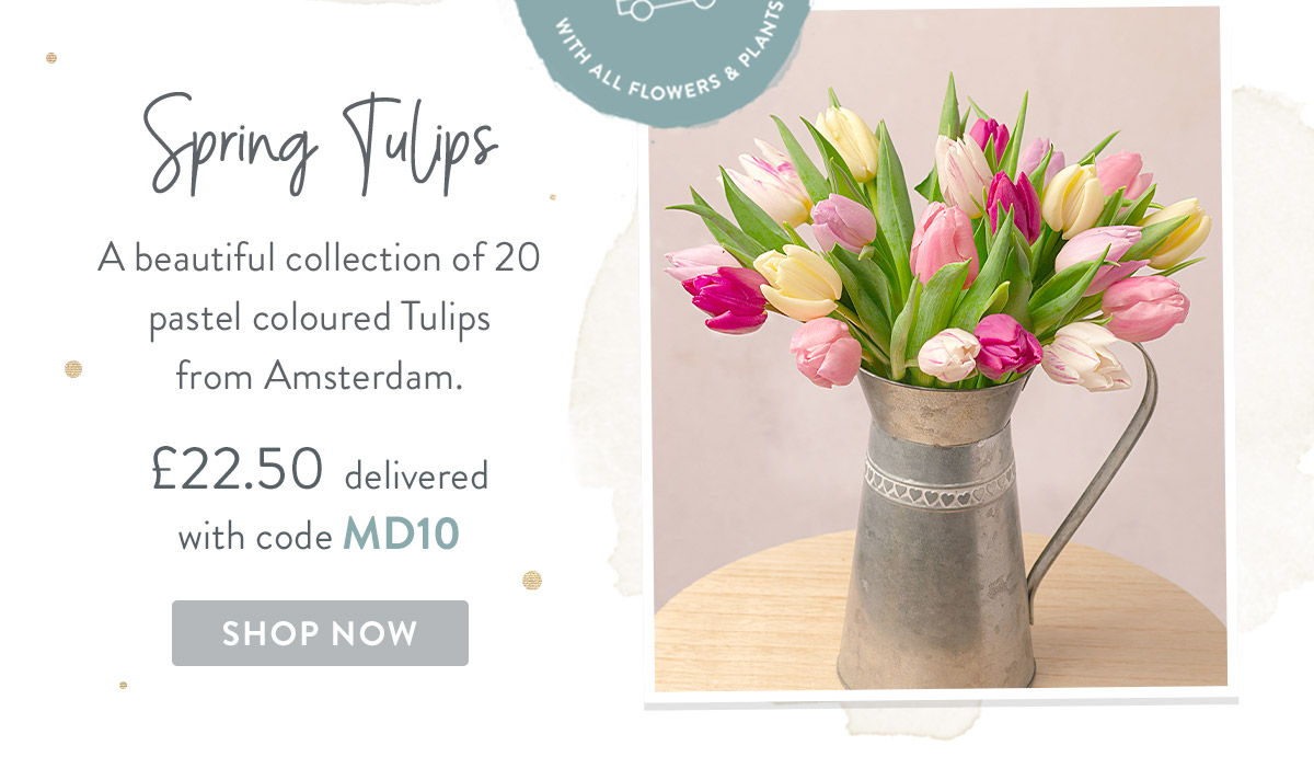 Spring Tulips - only &pound;22.50