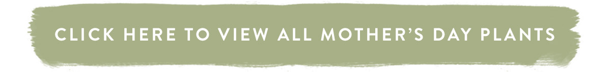 Click here to view all Mother's Day plants