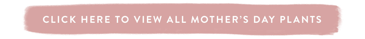 View all Mother's Day Plants