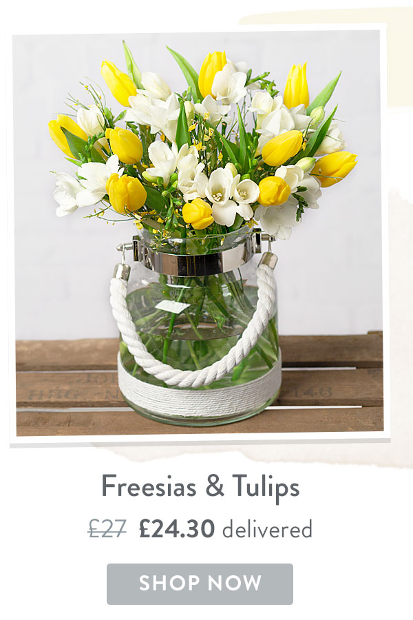 Freesias and Tulips - Only &pound;24.30 delivered with code