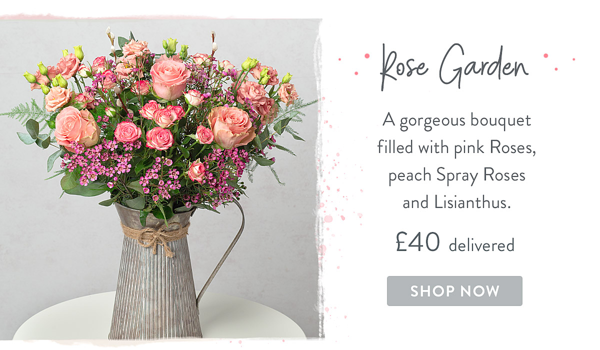 Rose Garden - only &pound;40 delivered