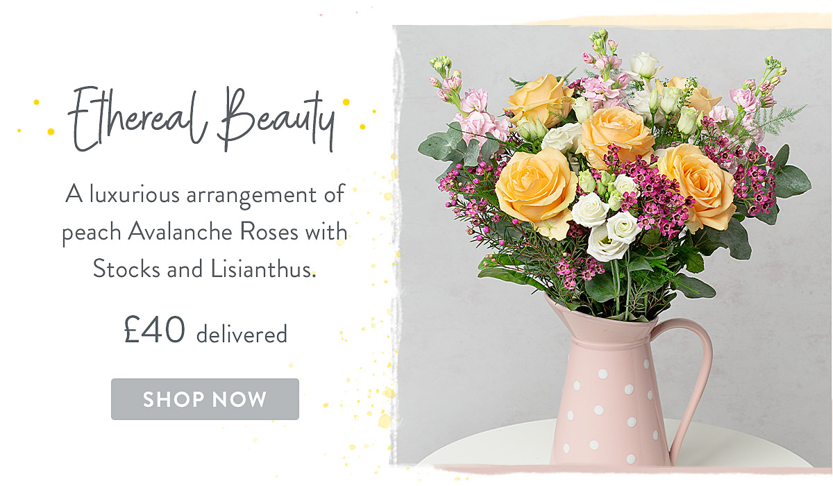 Ethereal Beauty - only &pound;40 delivered