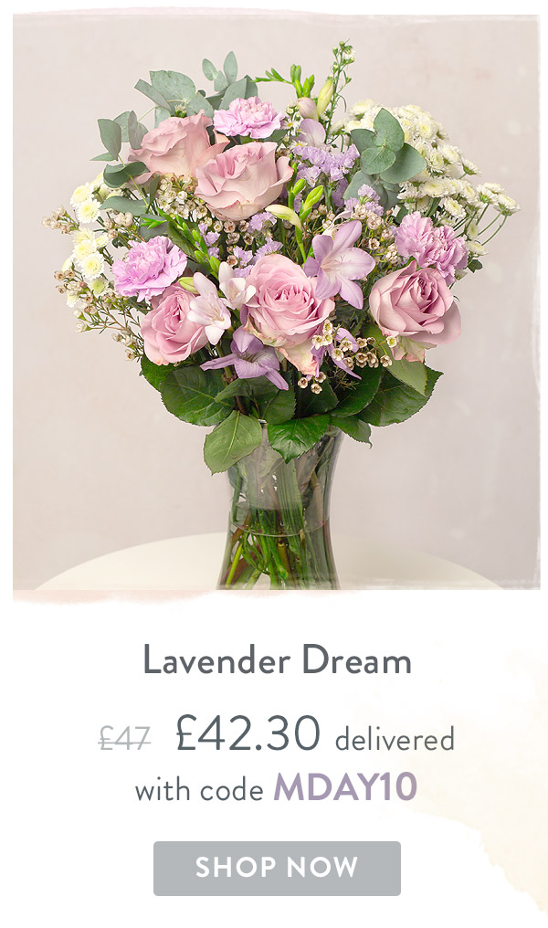 Lavender Dream - Only &pound;42.30 delivered