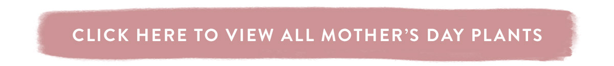 Click here to view all Mother's Day Plants