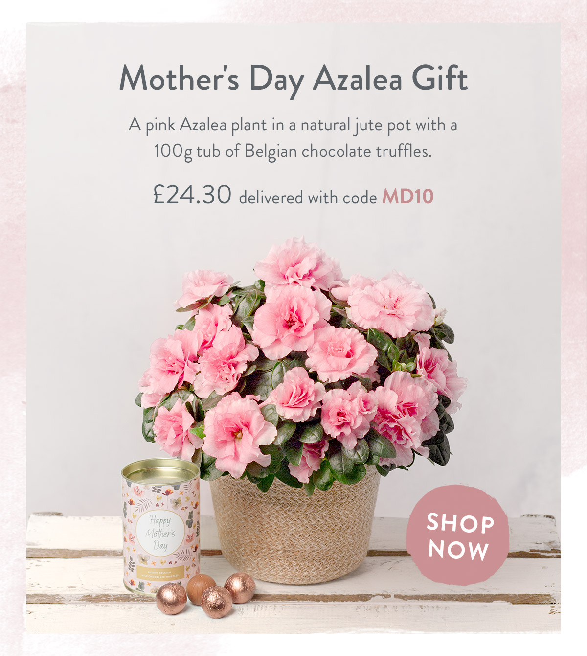 Mother's Day Azalea Gift Set - only &pound;24.30