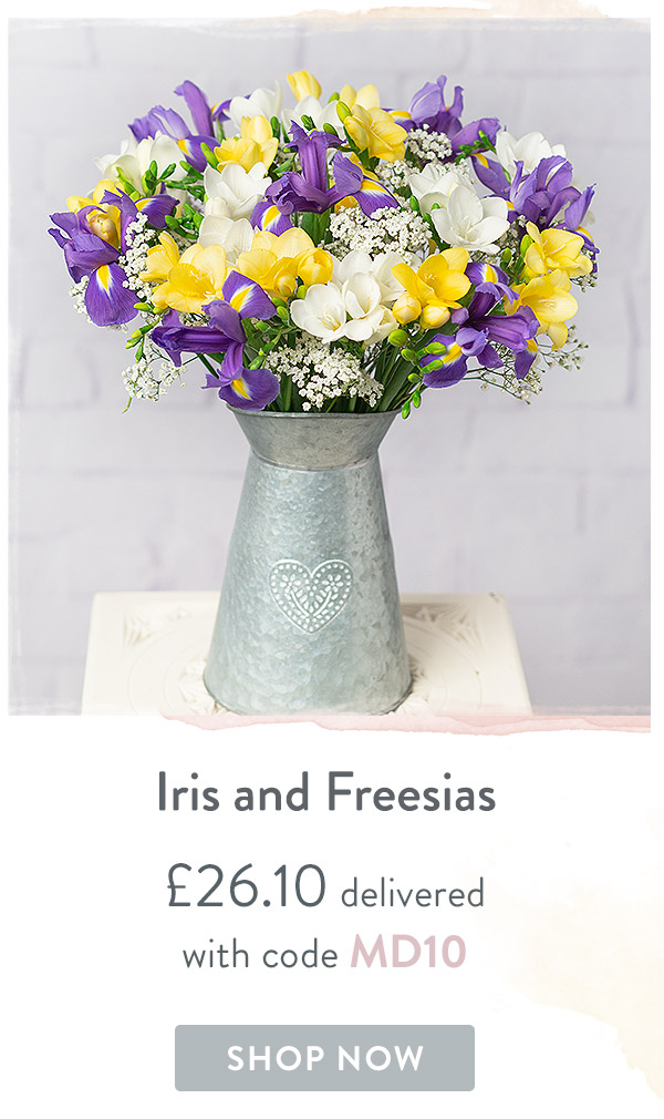 Iris and Freesia - only &pound;26.10 delivered