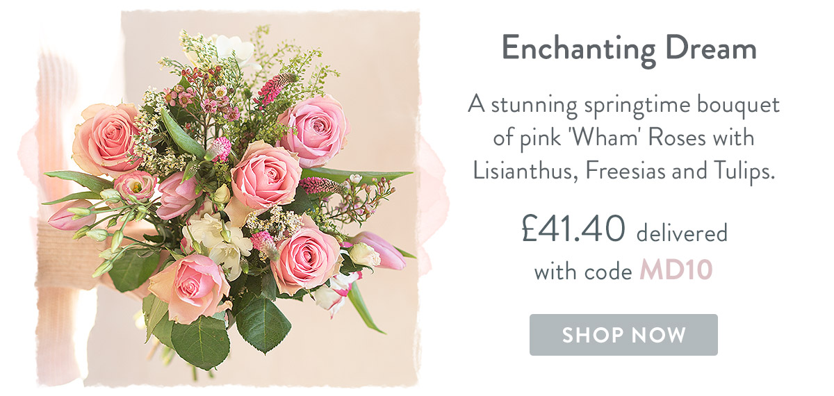 Enchanting Dream - only &pound;41.40 delivered