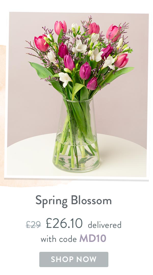 Spring Blossom - Only &pound;26.10 delivered with code