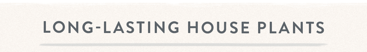 Long-Lasting House Plants