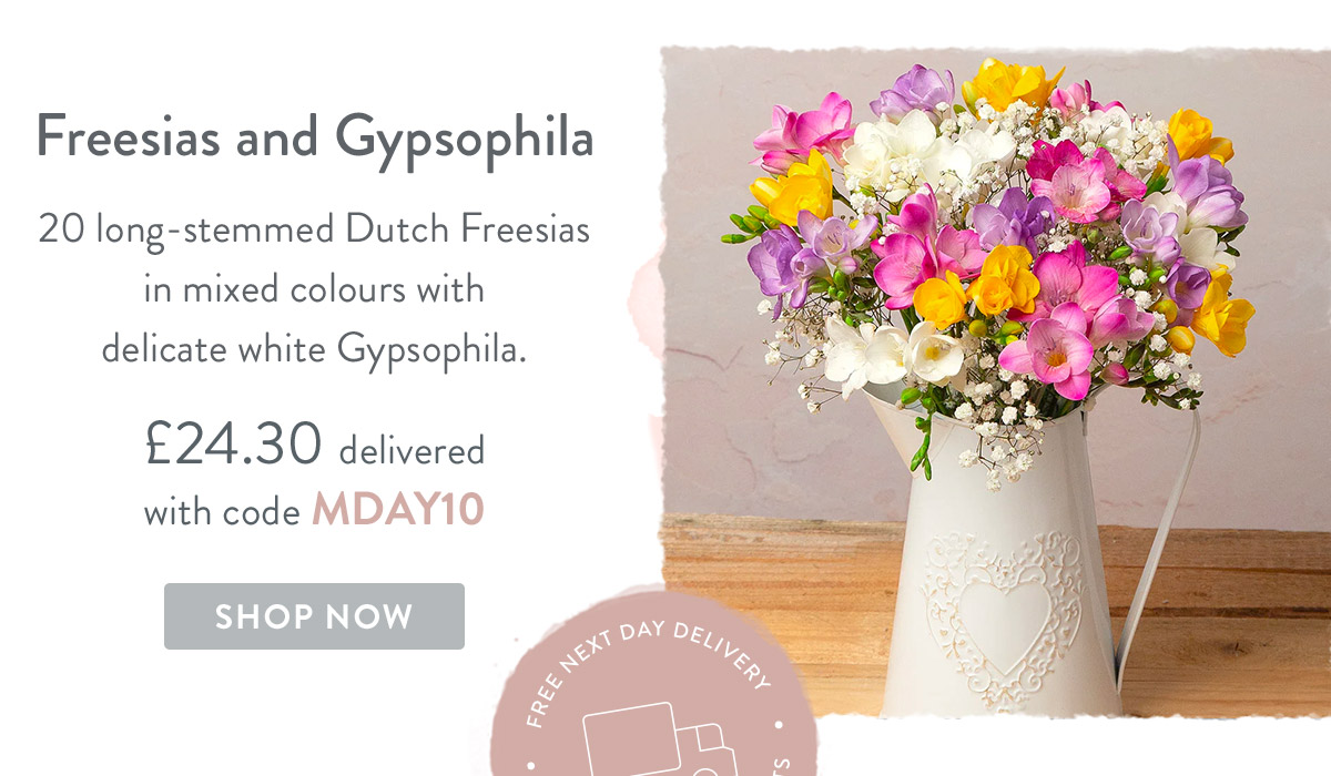 Freesias and Gypsophila - only &pound;24.30 delivered