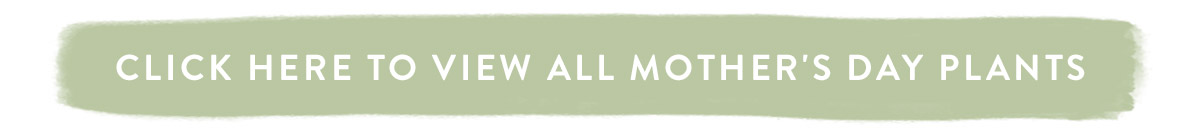 Click here to view all Mother's Day Plants