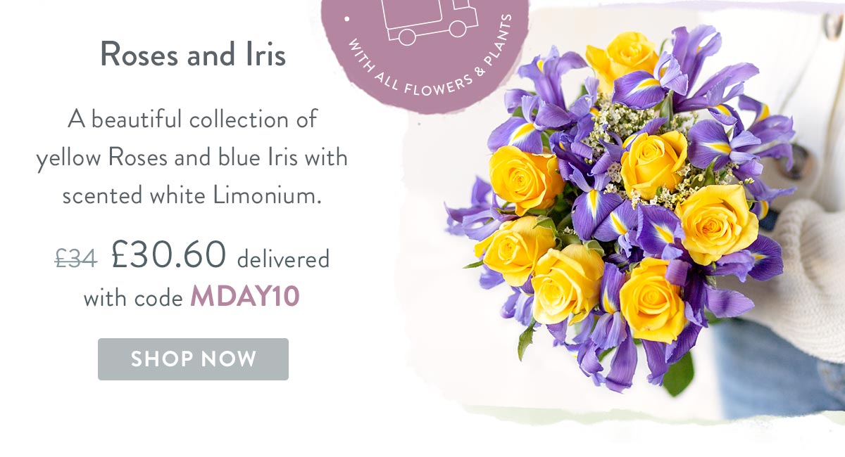 Roses and Iris - Only &pound;30.60 delivered