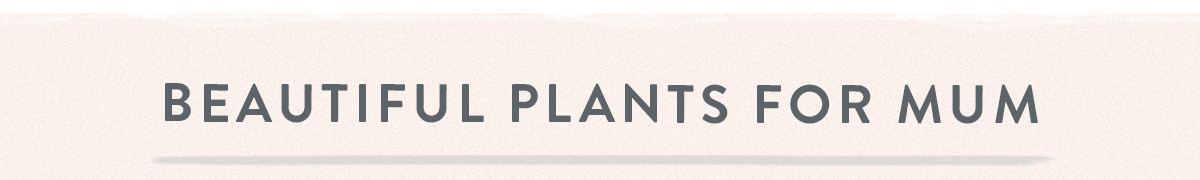 Long-Lasting House Plants