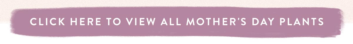 Click here to view all Mother's Day Plants