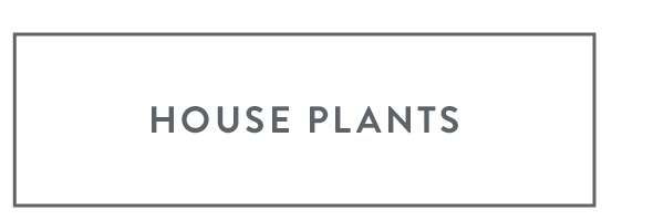 House Plants