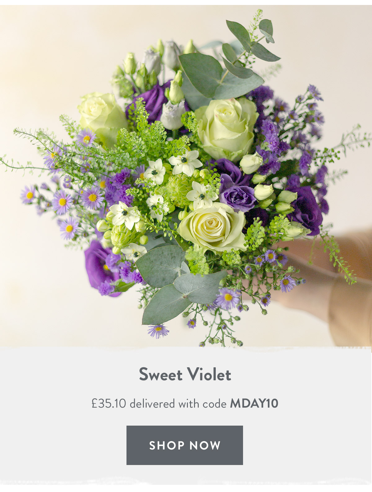 Sweet Violet - only &pound;35.10 delivered