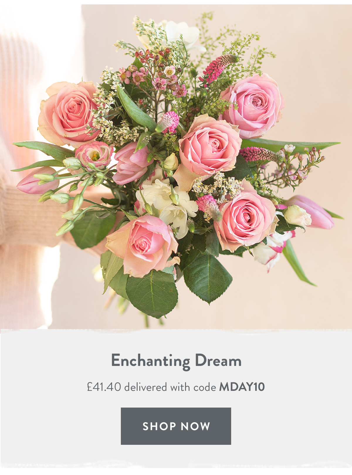 Enchanting Dream - only &pound;41.40 delivered