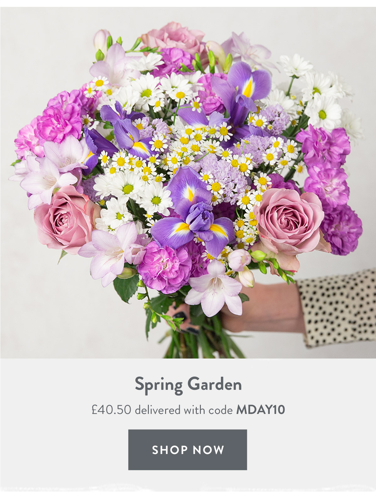 Spring Garden - only &pound;40.50 delivered