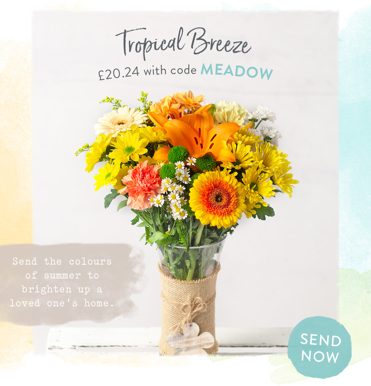 Tropical Breeze - only &pound;20.24