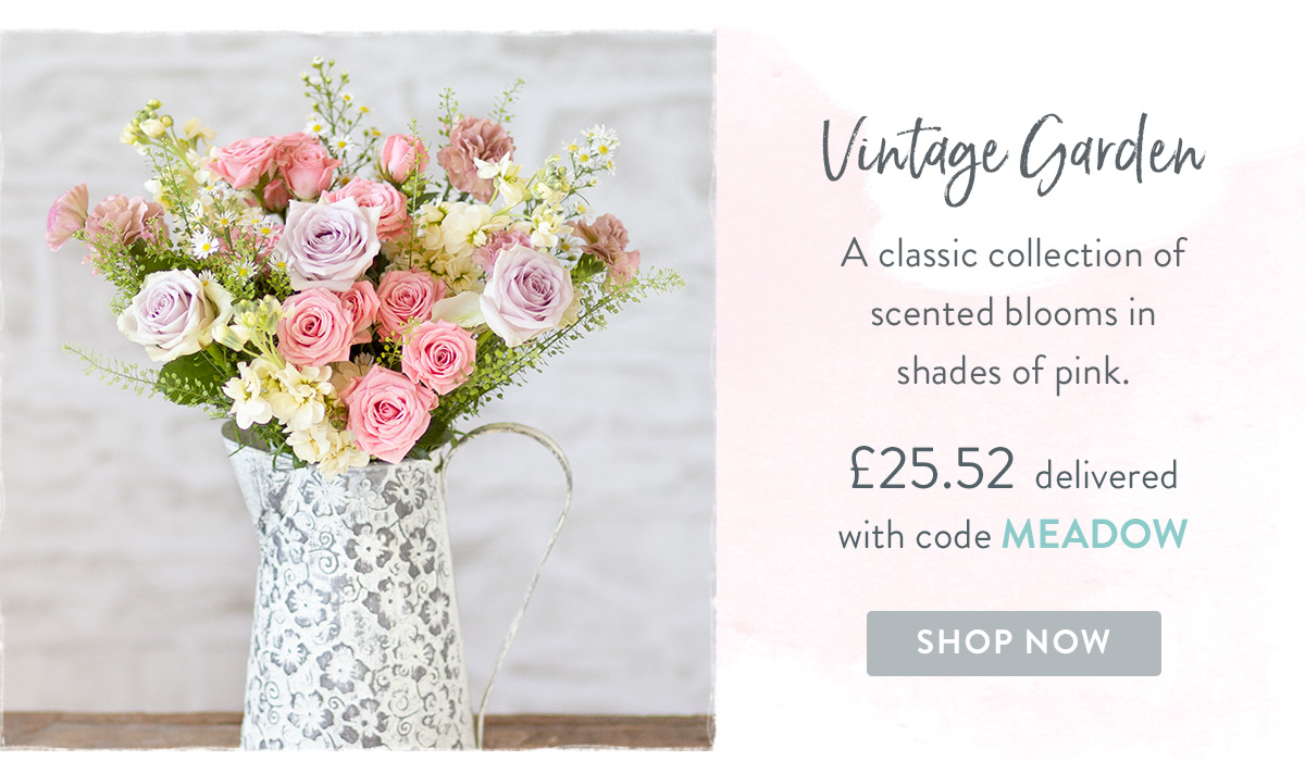 Vintage Garden- only &pound;25.52