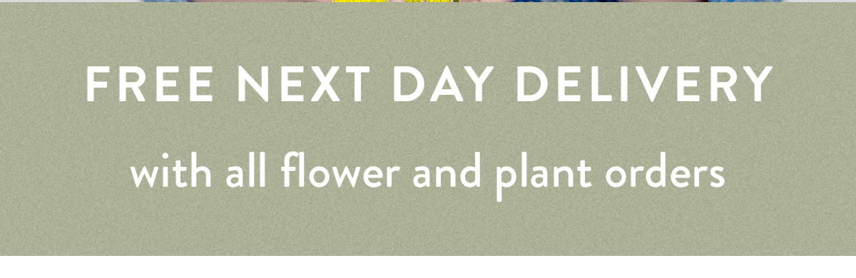 Free next day delivery with all flower and plant orders