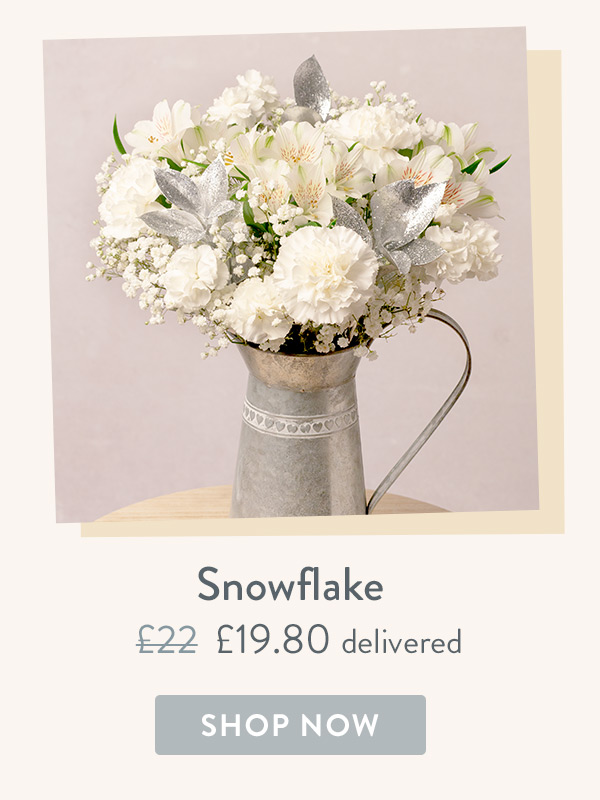 Snowflake - Only &pound;19.89