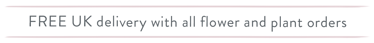 Free UK Delivery with all Flowers and Plants