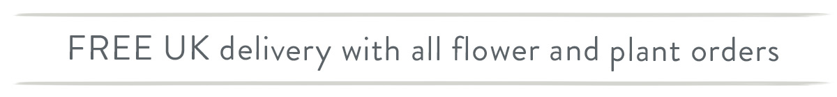 Free UK Delivery with all Flowers and Plants