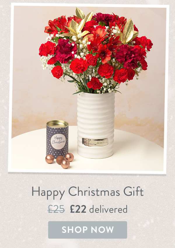 Happy Christmas Gift - Only &pound;22 delivered