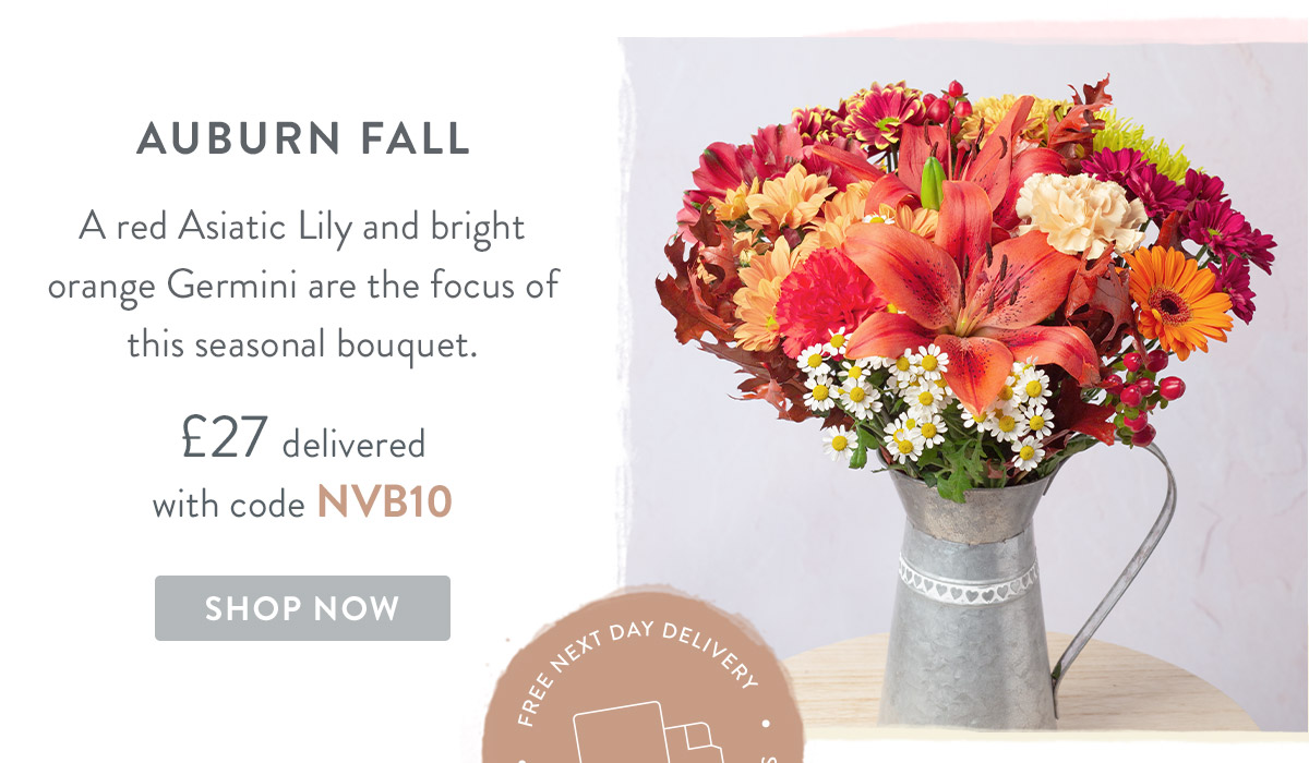 Auburn Fall - only &pound;27 delivered