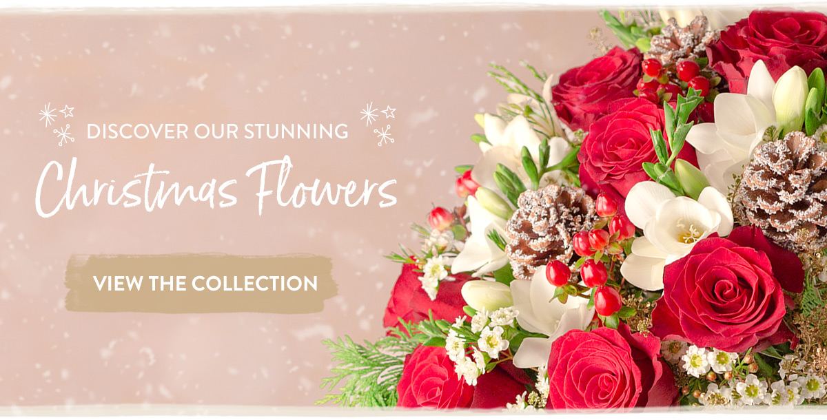 Discover our stunning Christmas Flowers