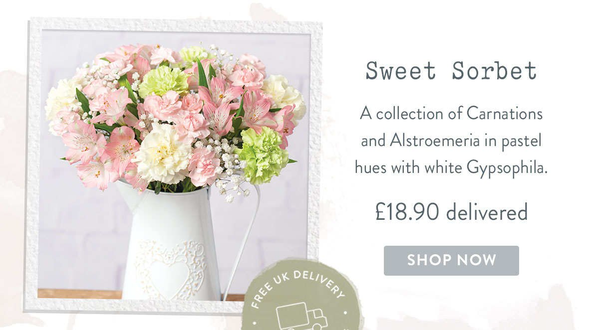 Sweet Sorbet - only &pound;18.90