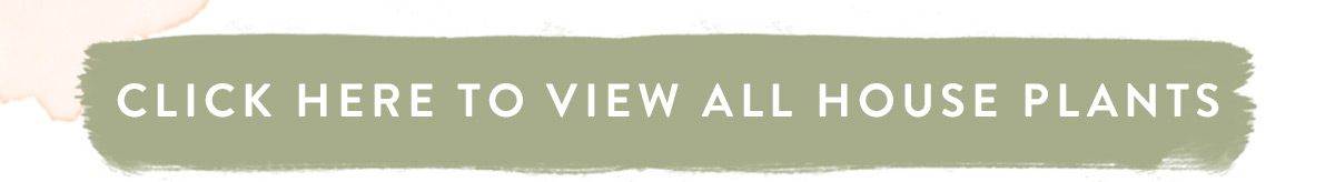 Click here to view all house plants