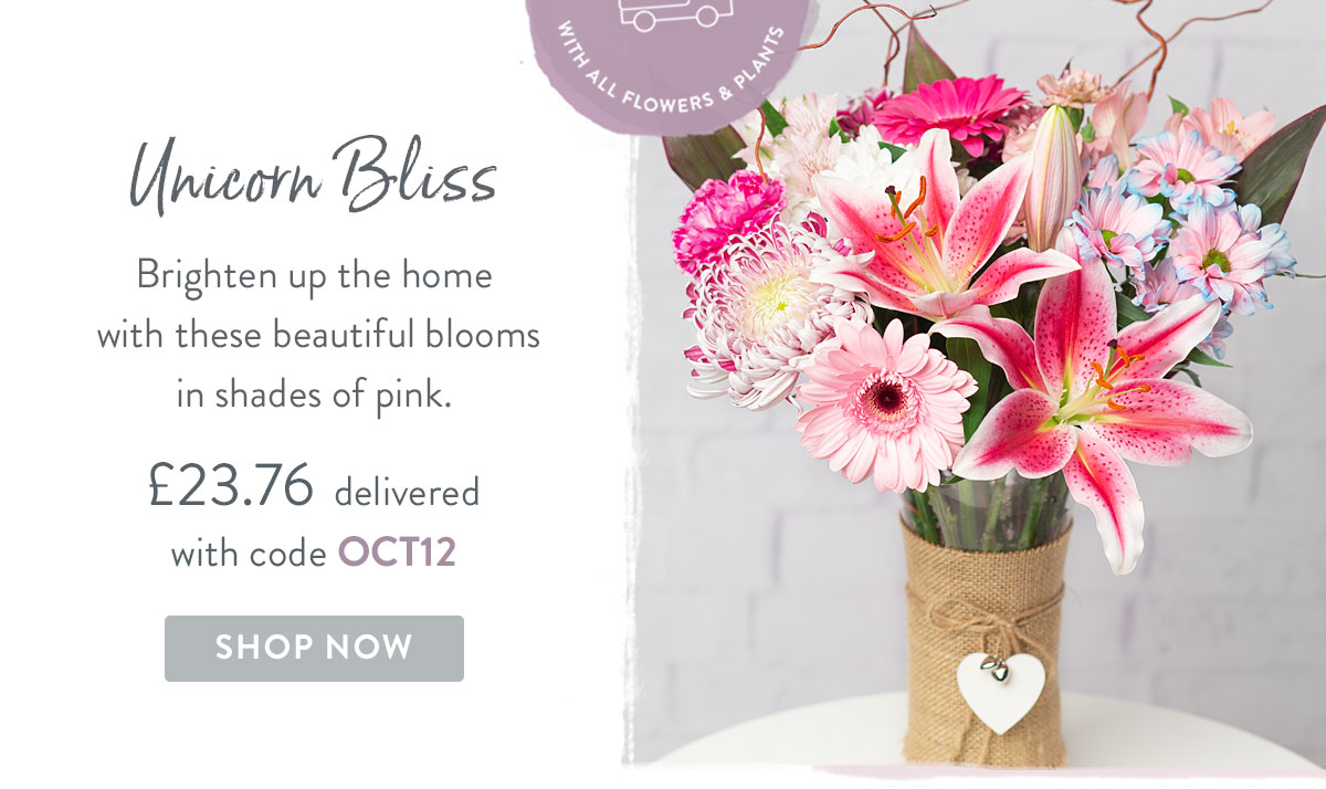 Unicorn Bliss - only &pound;23.76