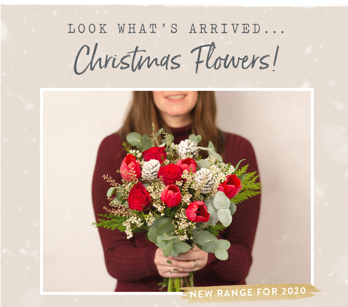 Look what's arrived... Christmas Flowers!