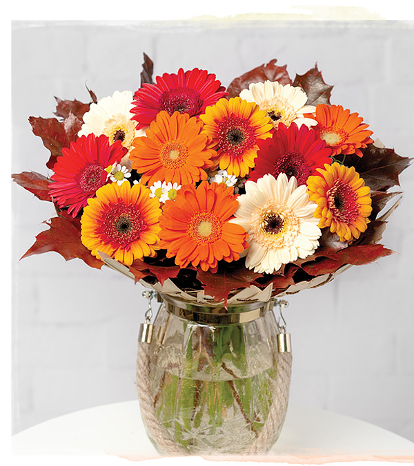 Autumn Daisies - Only &pound;25.20 delivered