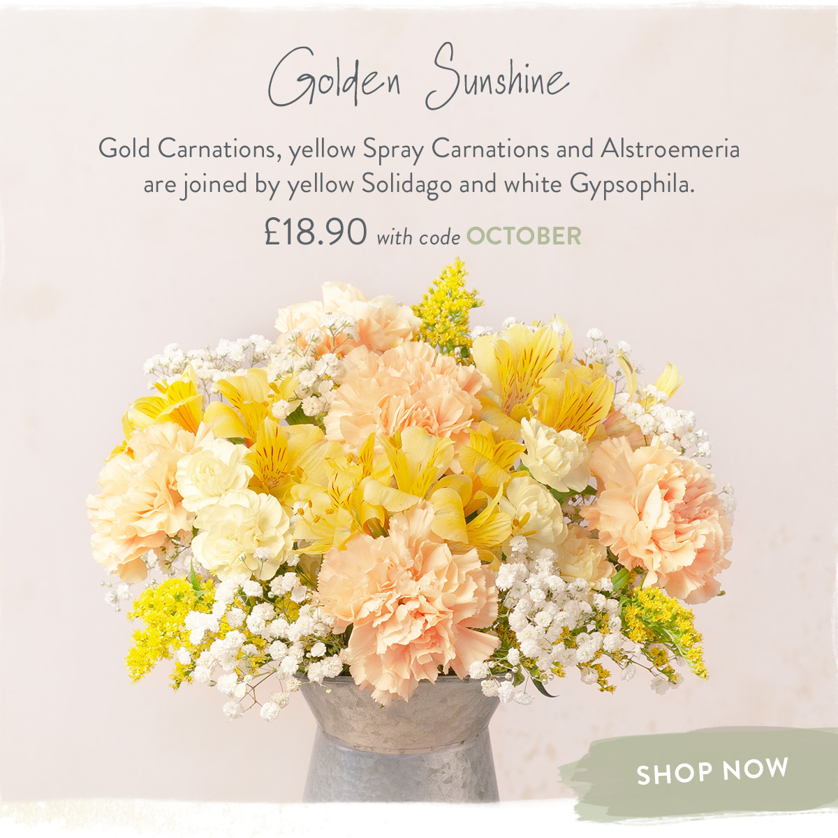 Golden Sunshine - only &pound;18.90