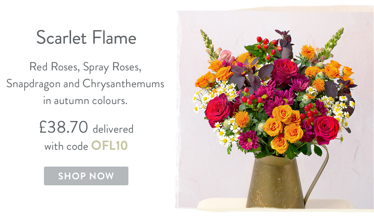 Scarlet Flame - only &pound;38.70 delivered