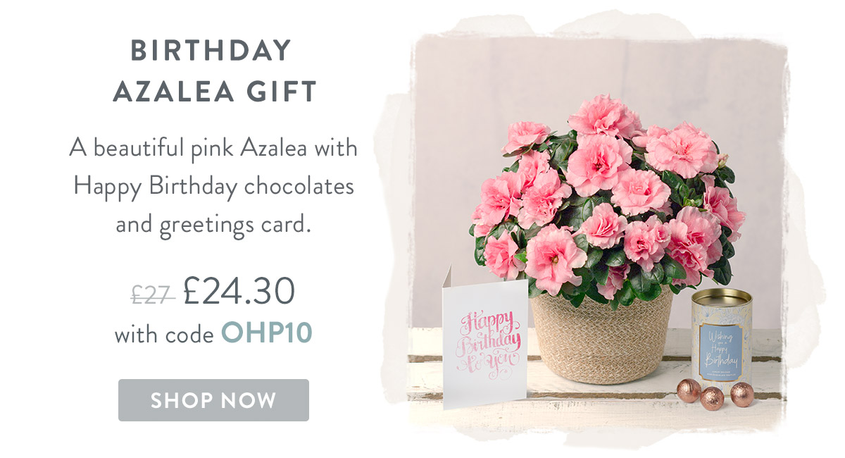 Birthday Azalea Gift Set - only &pound;24.30 delivered
