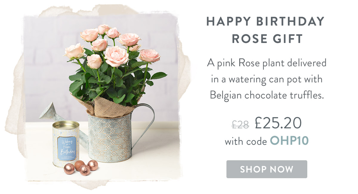Happy Birthday Rose Gift - only &pound;25.20 delivered