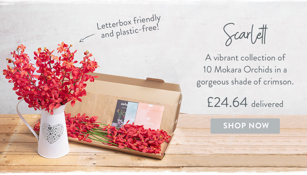Scarlett - only &pound;24.64