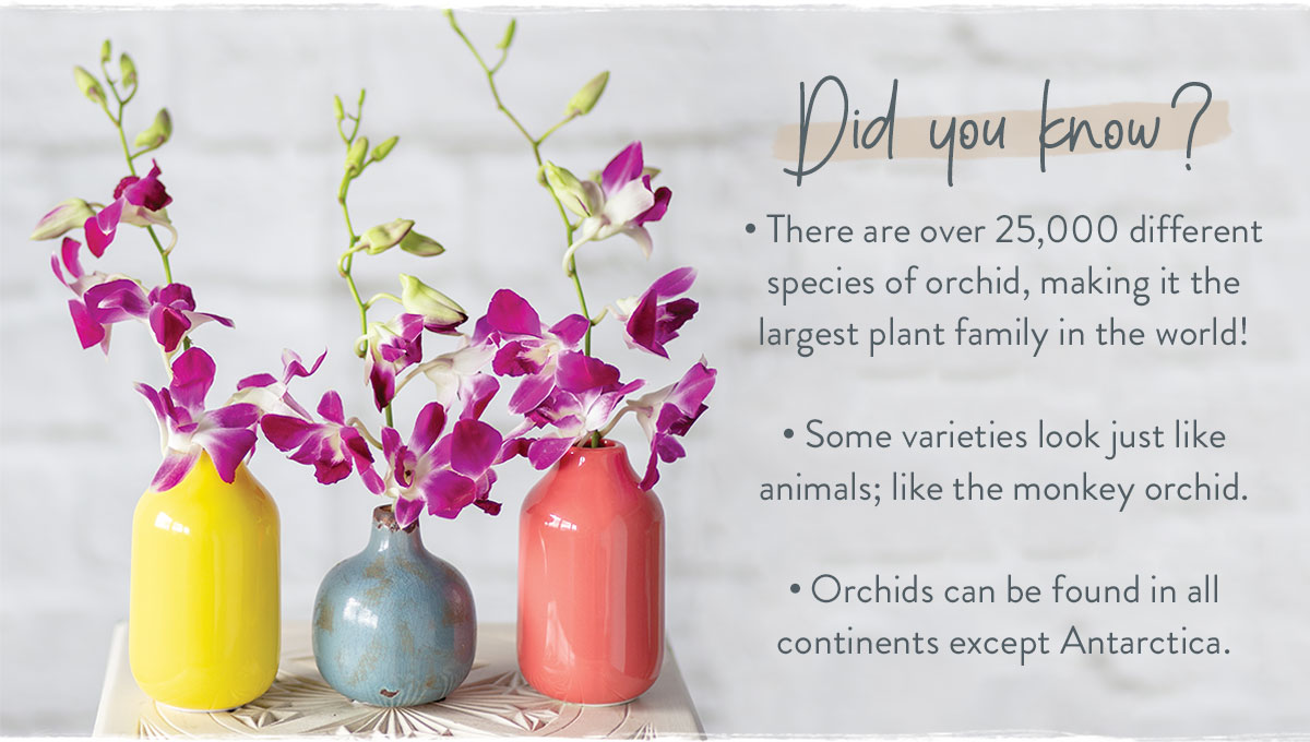 Did you know?