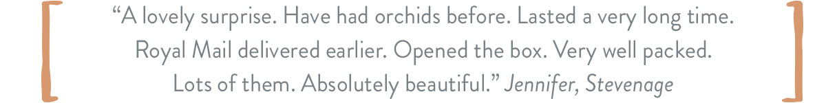 A lovely surprise. Have had orchids before. Lasted a very long time. Royal mail delivered earlier. Opened the box. Very well packed. Lots of them. Absolutely beautiful.” Jennifer, Stevenage